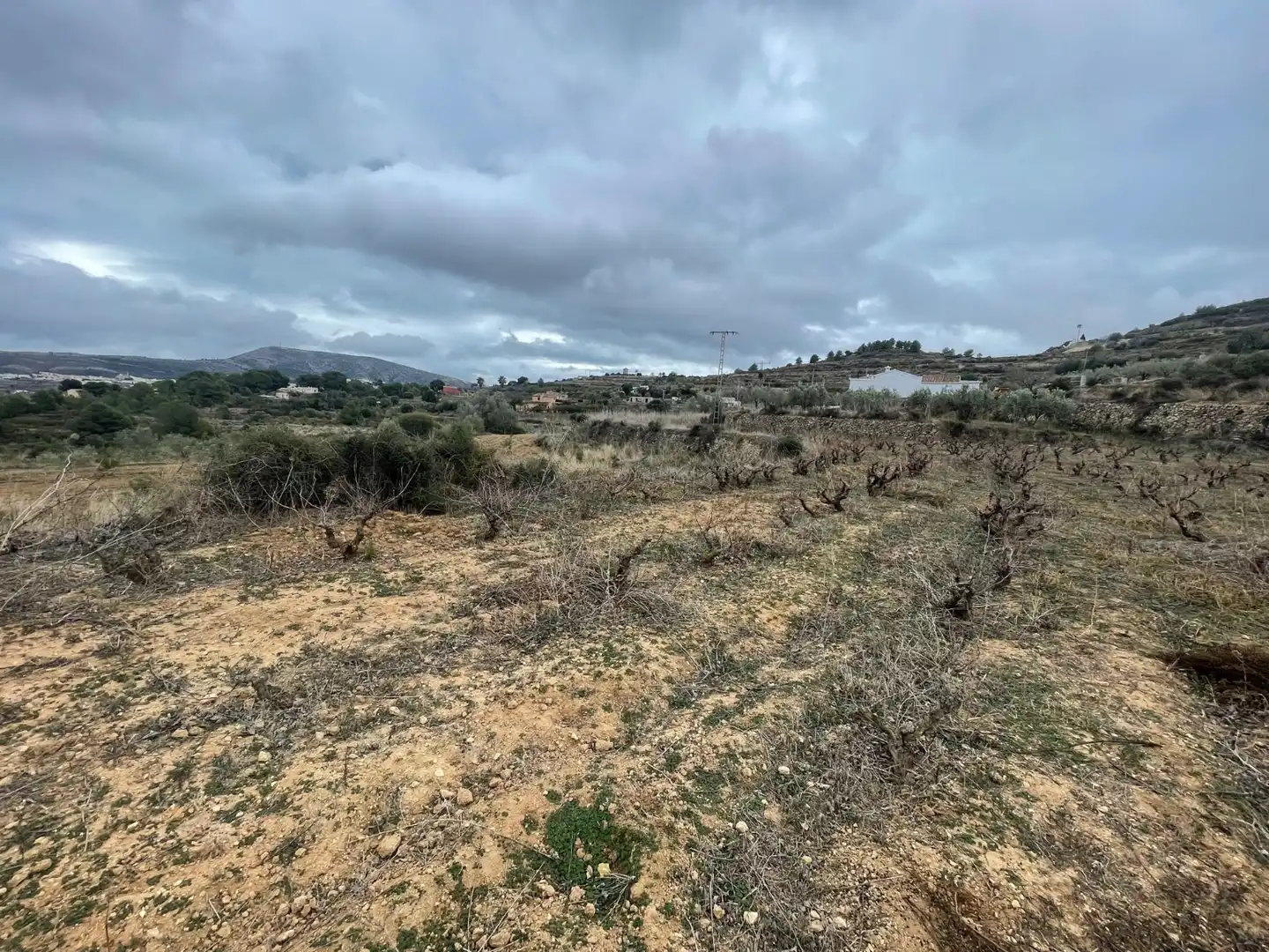 Terreny residencial en venda a Centro, imagen 3