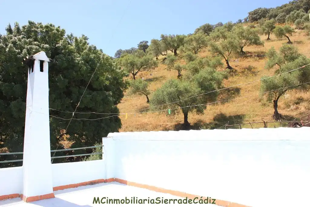 Casa rústica amb piscina en venda a N/A, imagen 34