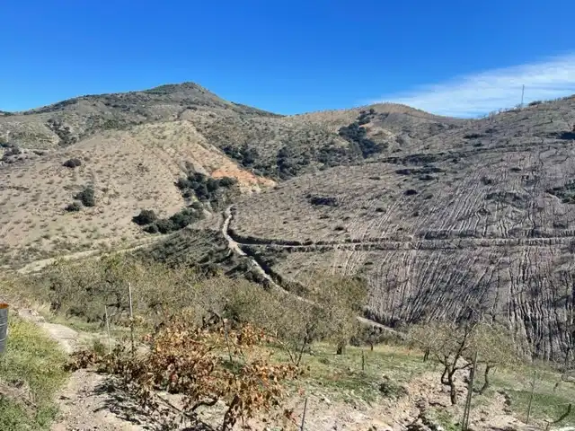 Terreni e lotti in vendita a Murtas, imagen 22