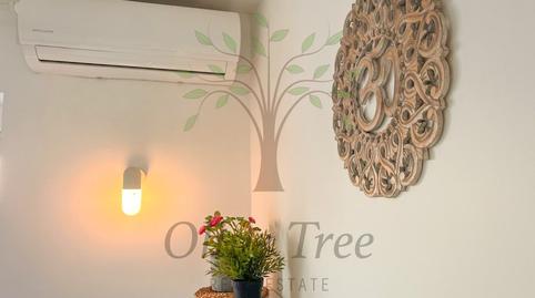 Photo 4 of Study to rent in Cala Vedella - Cala Tarida, Illes Balears