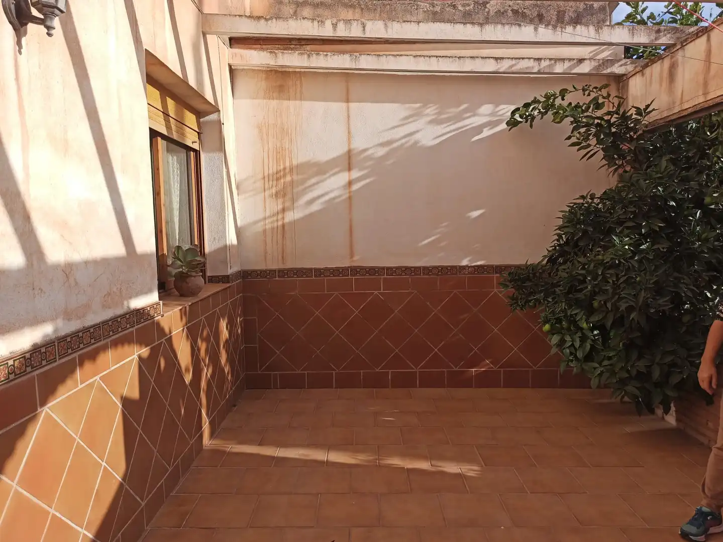 Casa in vendita a Calle Pilar, imagen 9