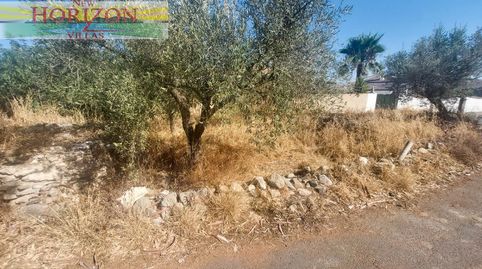 Foto 3 de Finca rústica en venta en Arboleas, Almería