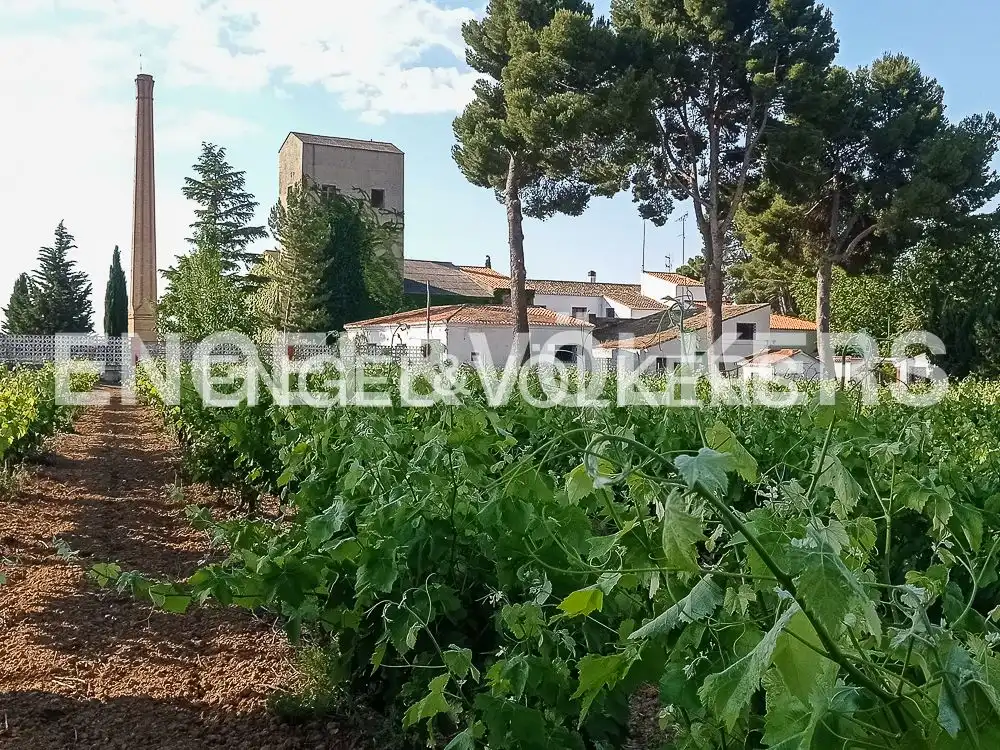 Casa rústica con piscina en venta en Requena, imagen 51
