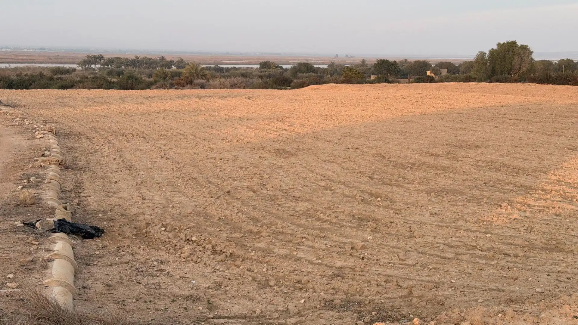 Terrain rustique à vendre à La Marina, imagen 19
