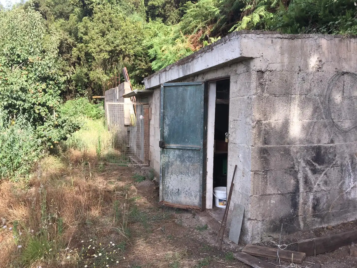 Finca rústica en venta en Los Realejos