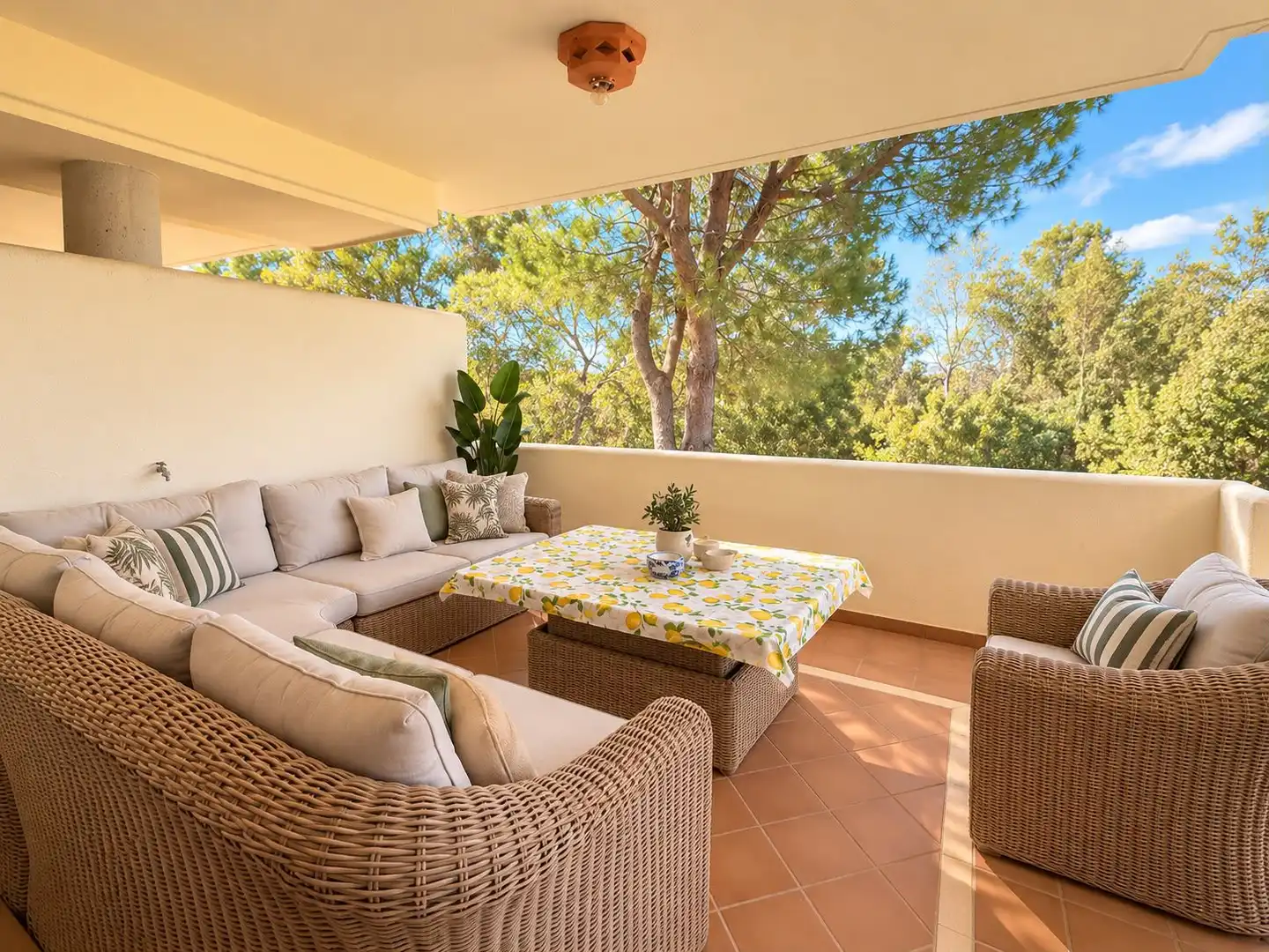 Terrace of Flat for sale in Elviria - Cabopino