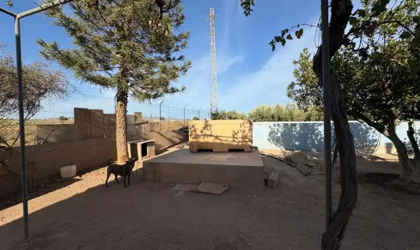 Vista exterior de Casa o xalet en venda en Níjar amb Jardí privat, Terrassa i Piscina