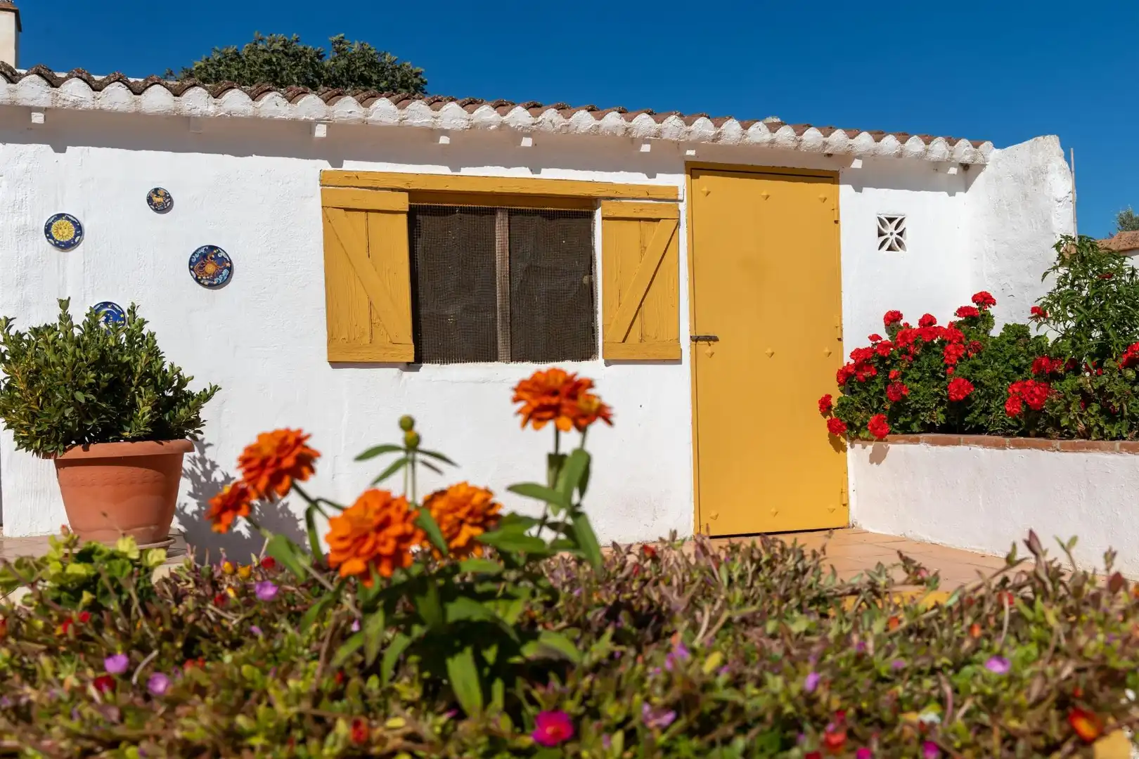 House with garden for sale in Villanueva del Trabuco, imagen 45