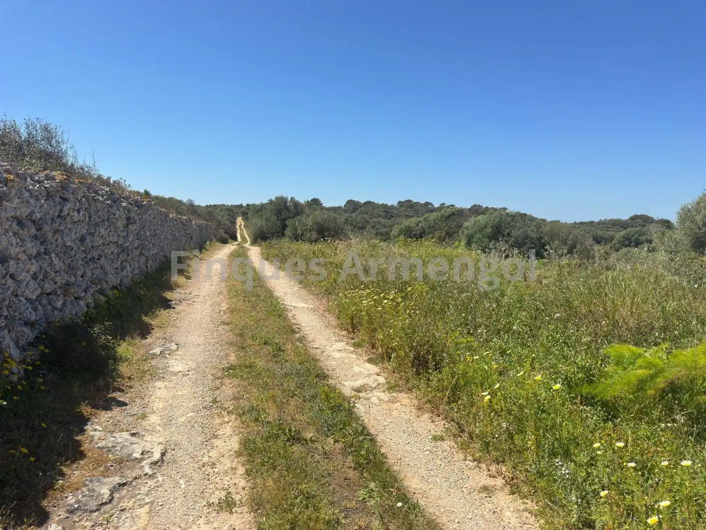 Casa amb jardí en venda a Ciutadella, imagen 48