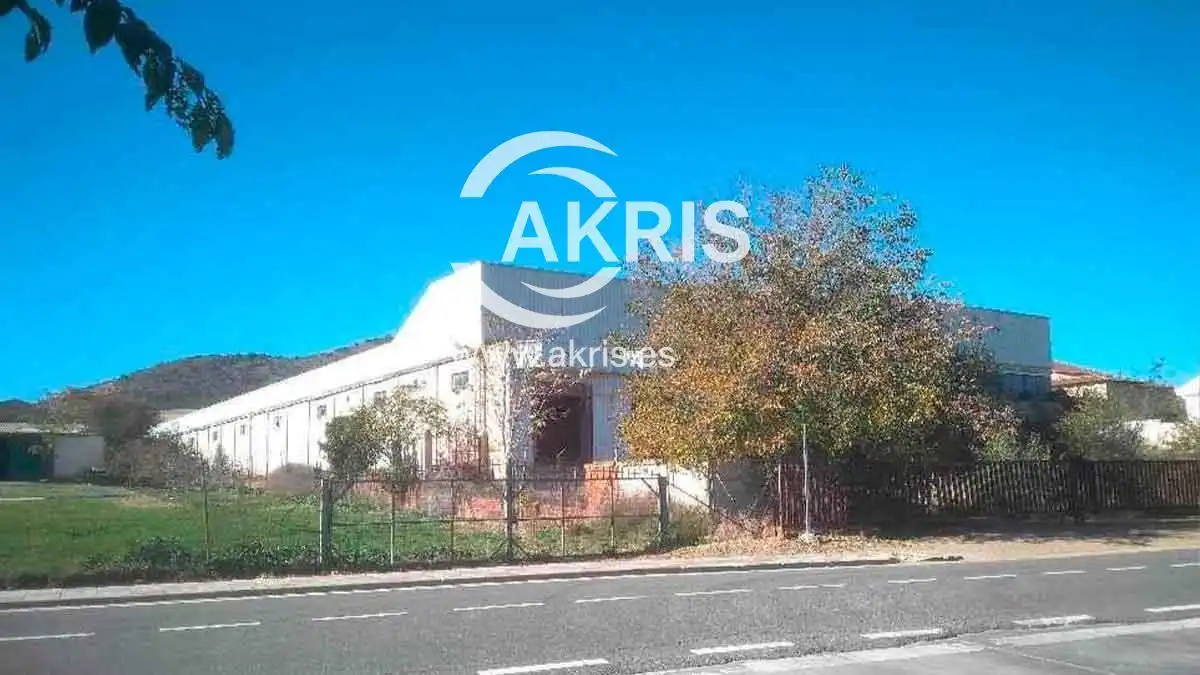 Industrial building for sale in Calle Carretera, imagen 2