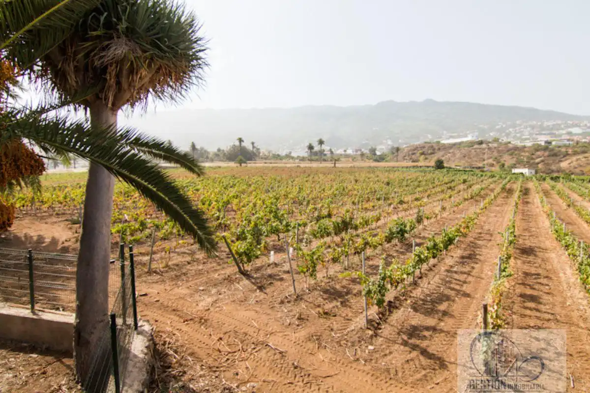 Vista exterior de Finca rústica en venda en Santa Úrsula amb Terrassa i Balcó