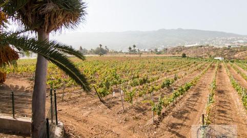 Foto 3 de Finca rústica en venda a La Vera - El Farrobillo - Tosca de Ana María, Santa Cruz de Tenerife