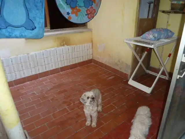 Piso en venta en Carrer Ermita, 160, Madrigal