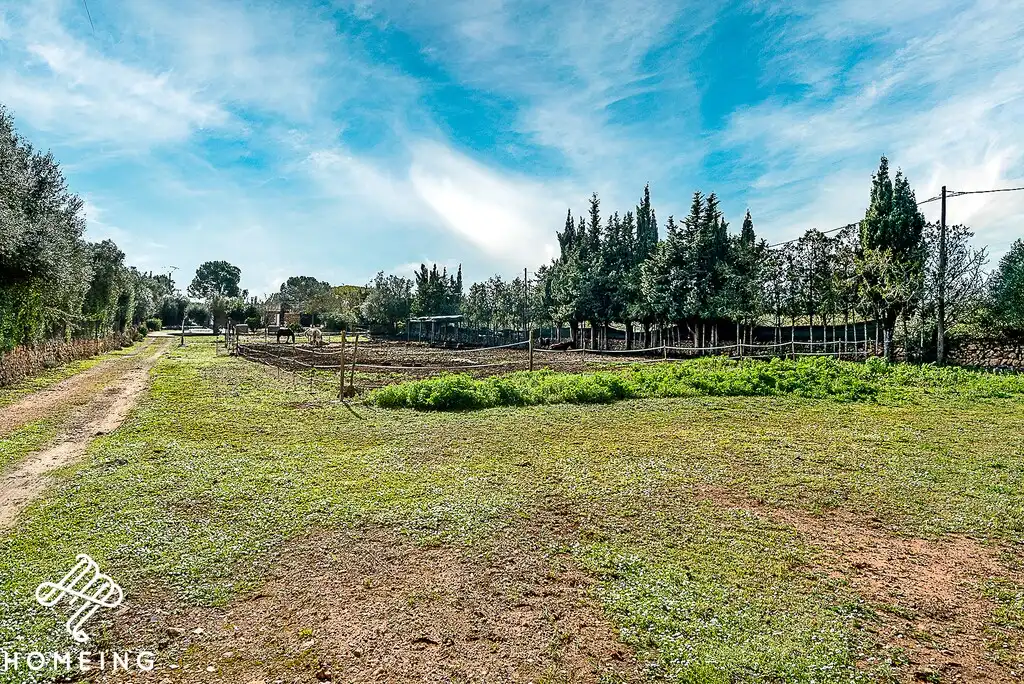 Casa rústica amb piscina en venda a Algaida, imagen 7