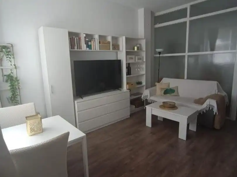 Sala d'estar de Pis de lloguer en Centro