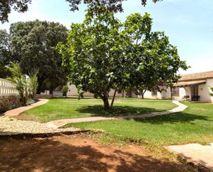 Garden of Country house for sale in Argamasilla de Alba