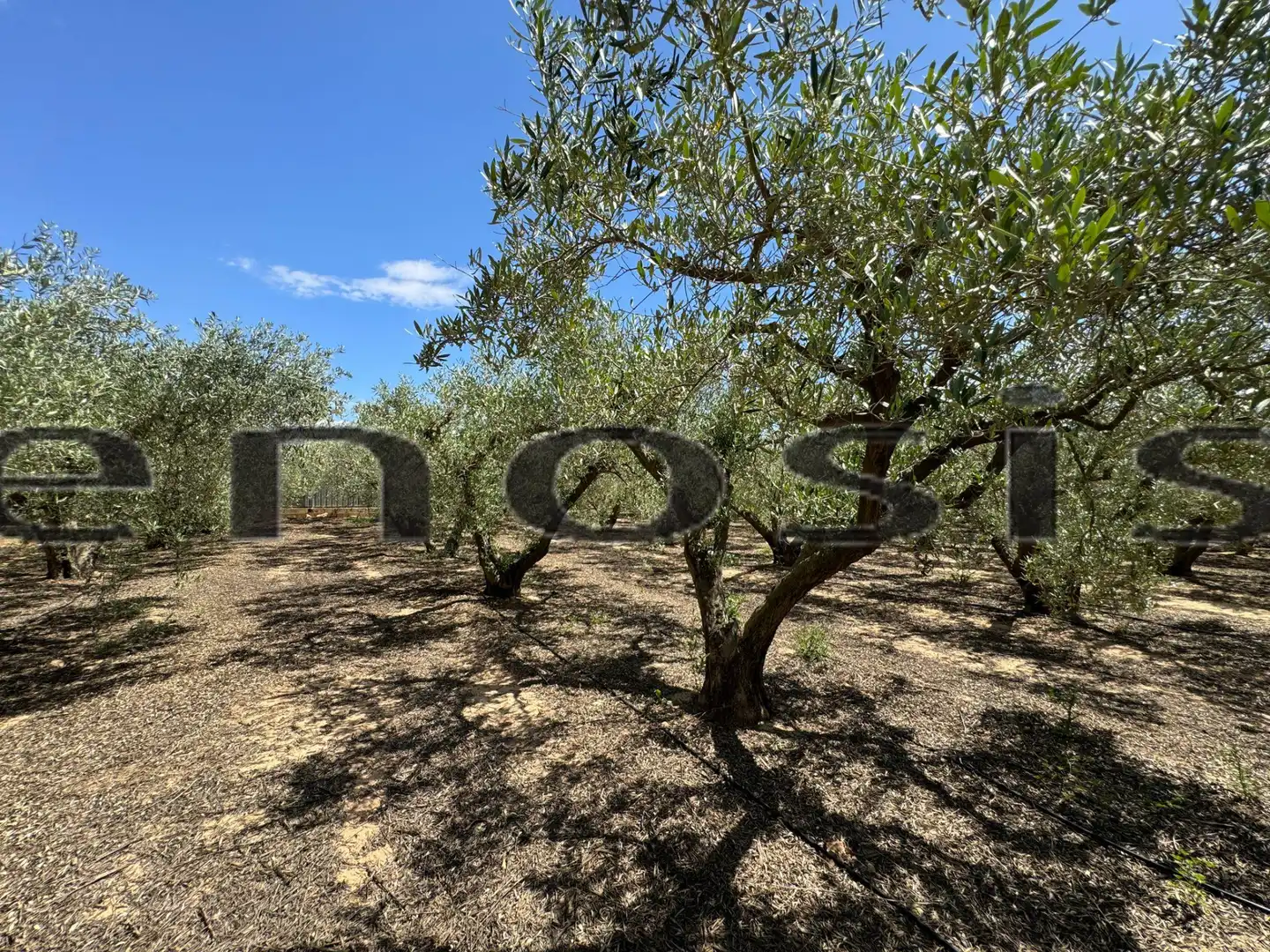 Country homes for sale in Torre-Pacheco  with Private garden, Furnished and Oven