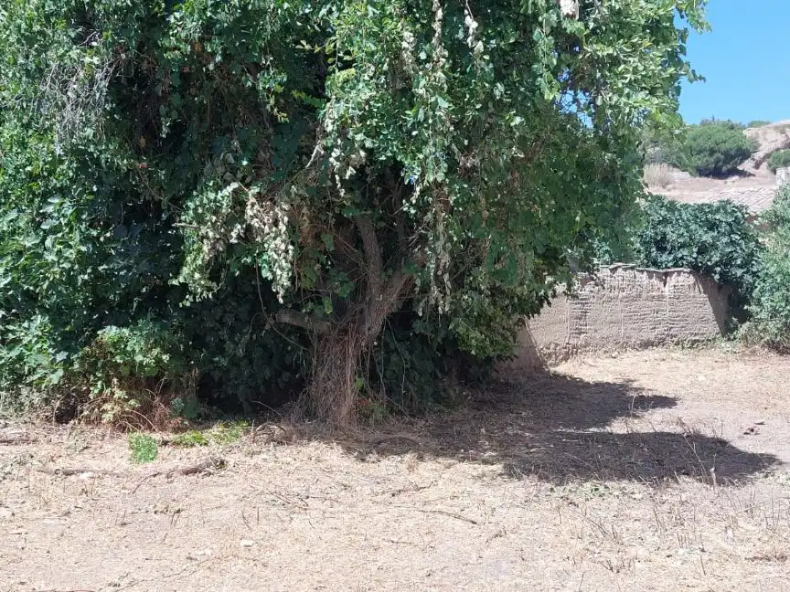 Terreni e lotti in vendita a Miralrio 3, imagen 4