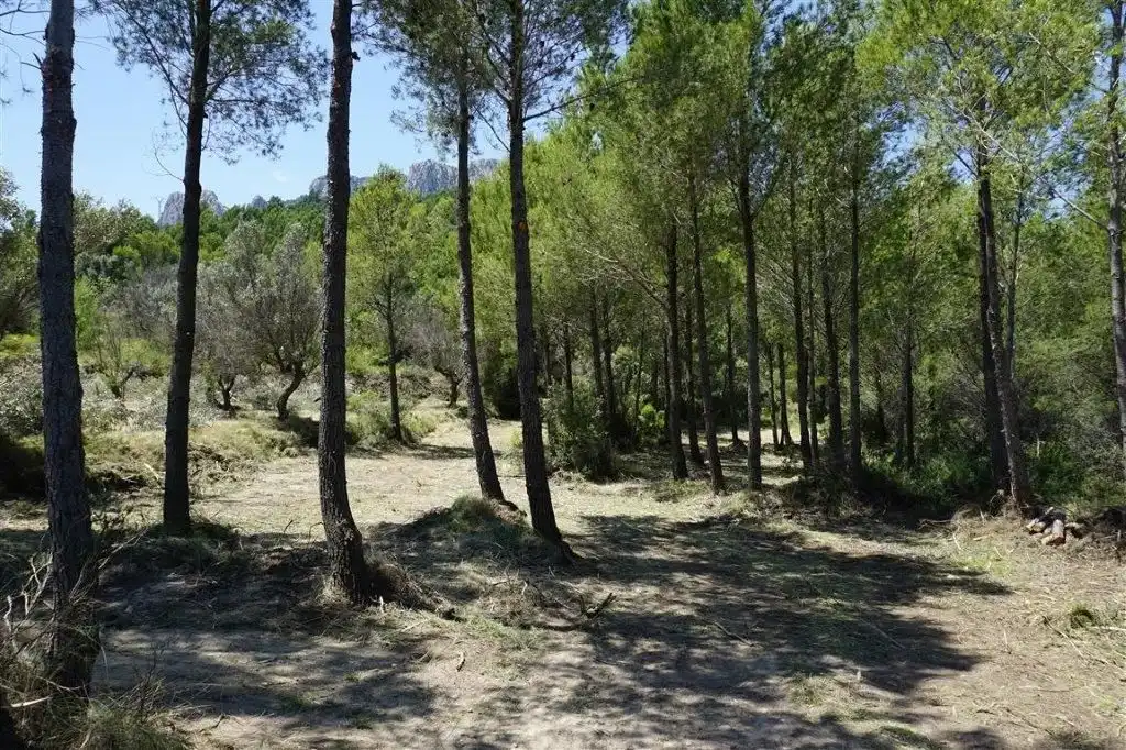 Land for sale in El Castell de Guadalest