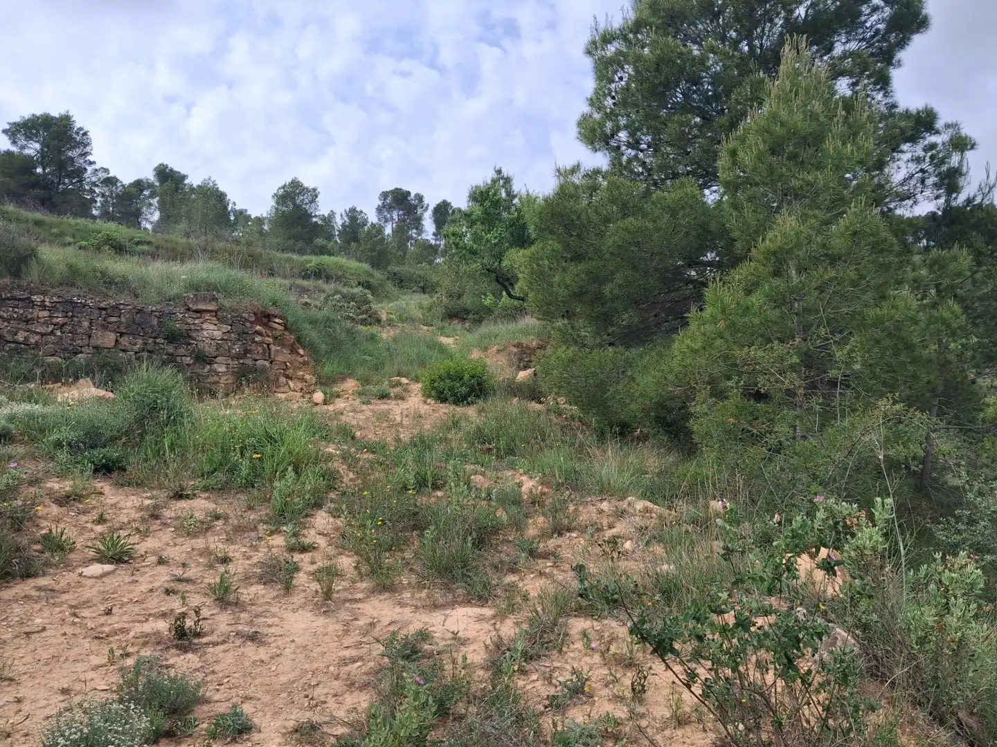 Rural land for sale in Gandesa, imagen 15