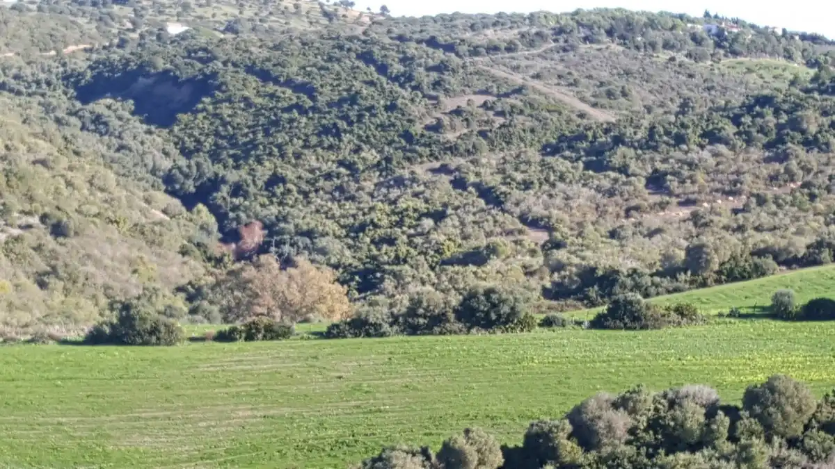 Terrain rustique à vendre à Vejer, imagen 2