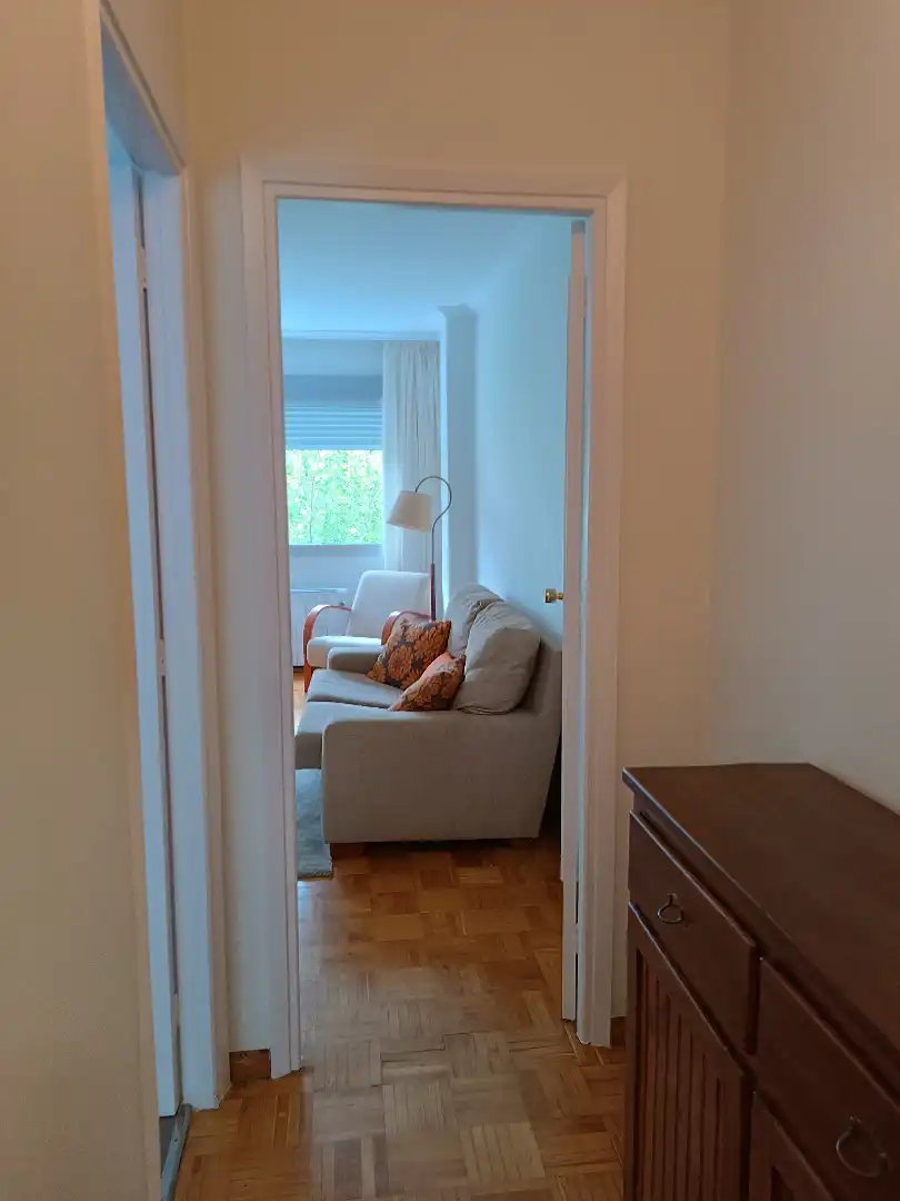 Sala de estar de Apartamento de alquiler en Pontevedra Capital  con Calefacción, Parquet y Amueblado