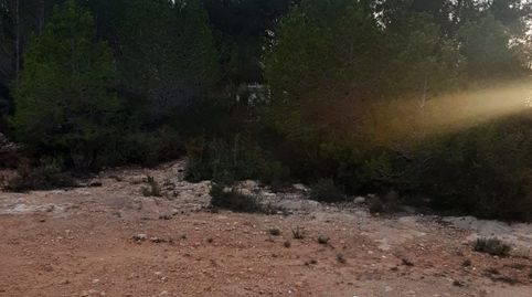 Foto 5 de Finca rústica en venta en Godelleta, Valencia