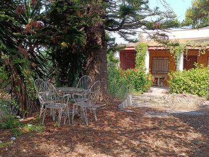 Garden of House or chalet for sale in Castellón de la Plana / Castelló de la Plana  with Terrace, Storage room and Swimming Pool