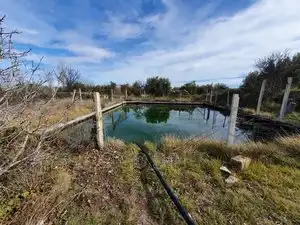 Casa con piscina en venta en Carretera de Caniles