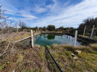 Casa con piscina en venta en Carretera de Caniles