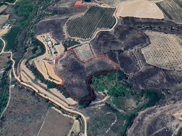 Terreni e lotti in vendita a paracuellos de jiloca