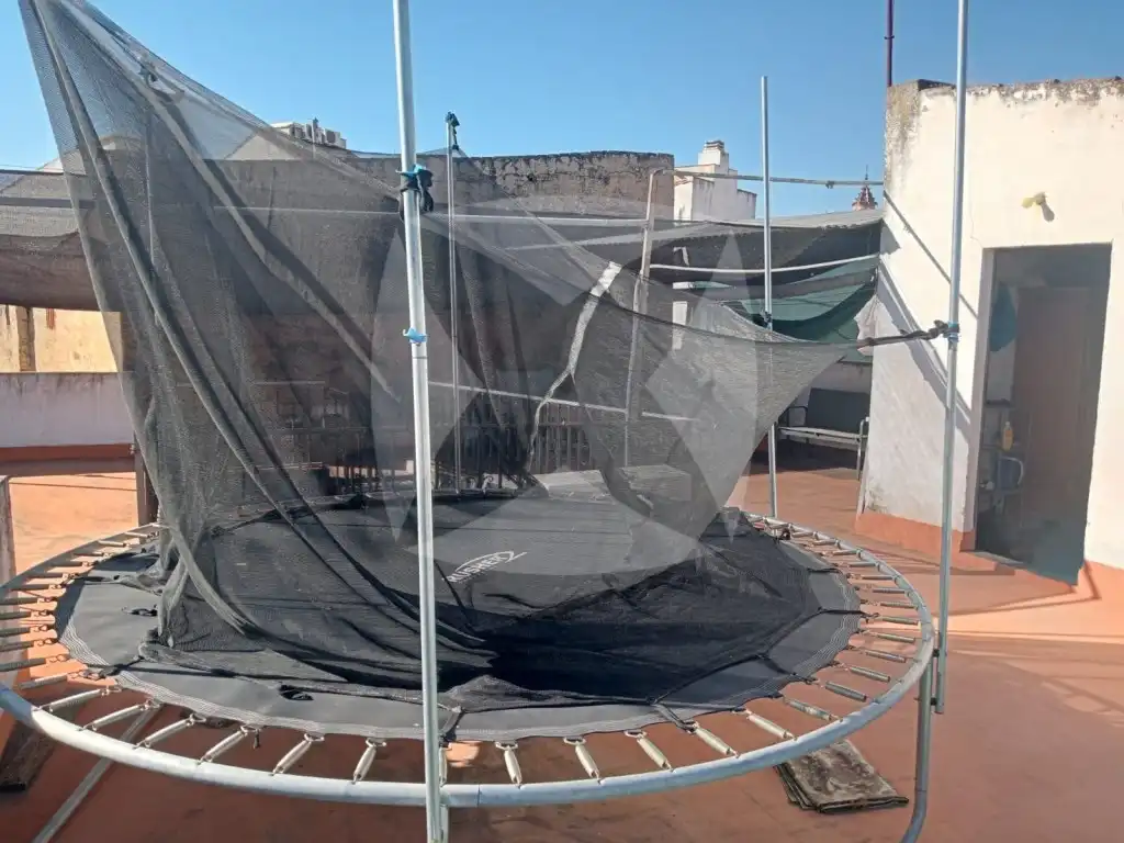 House with balcony for sale in Calle Cespedes, imagen 39