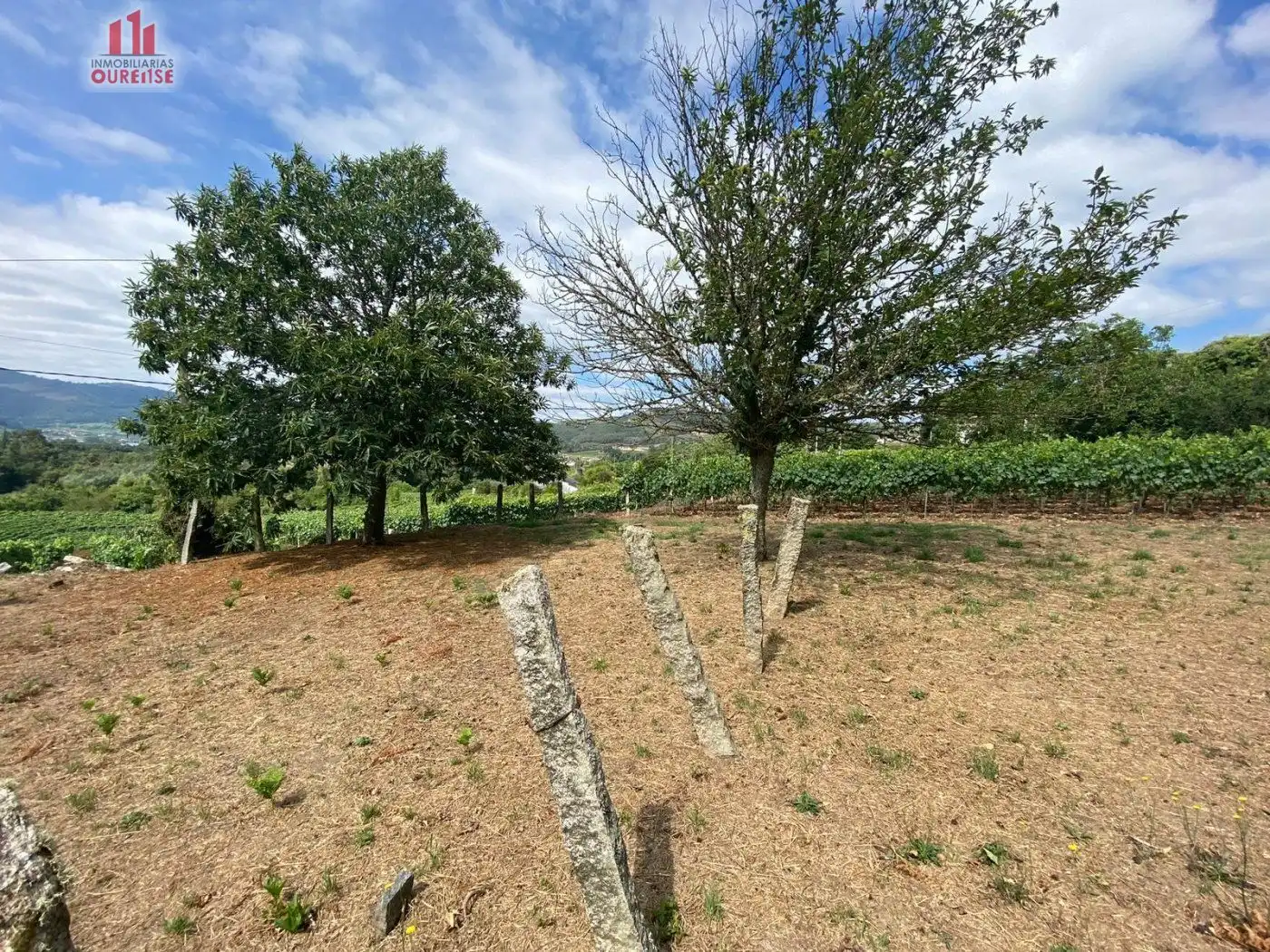 Residencial en venta en Ribadavia
