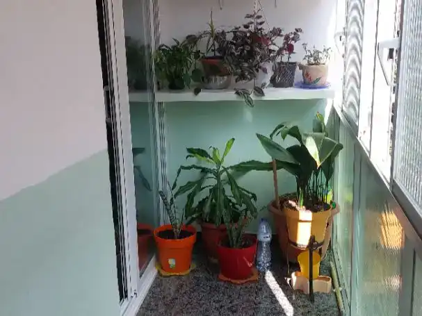 Terrassa de Pis en venda en Terrassa amb Balcó