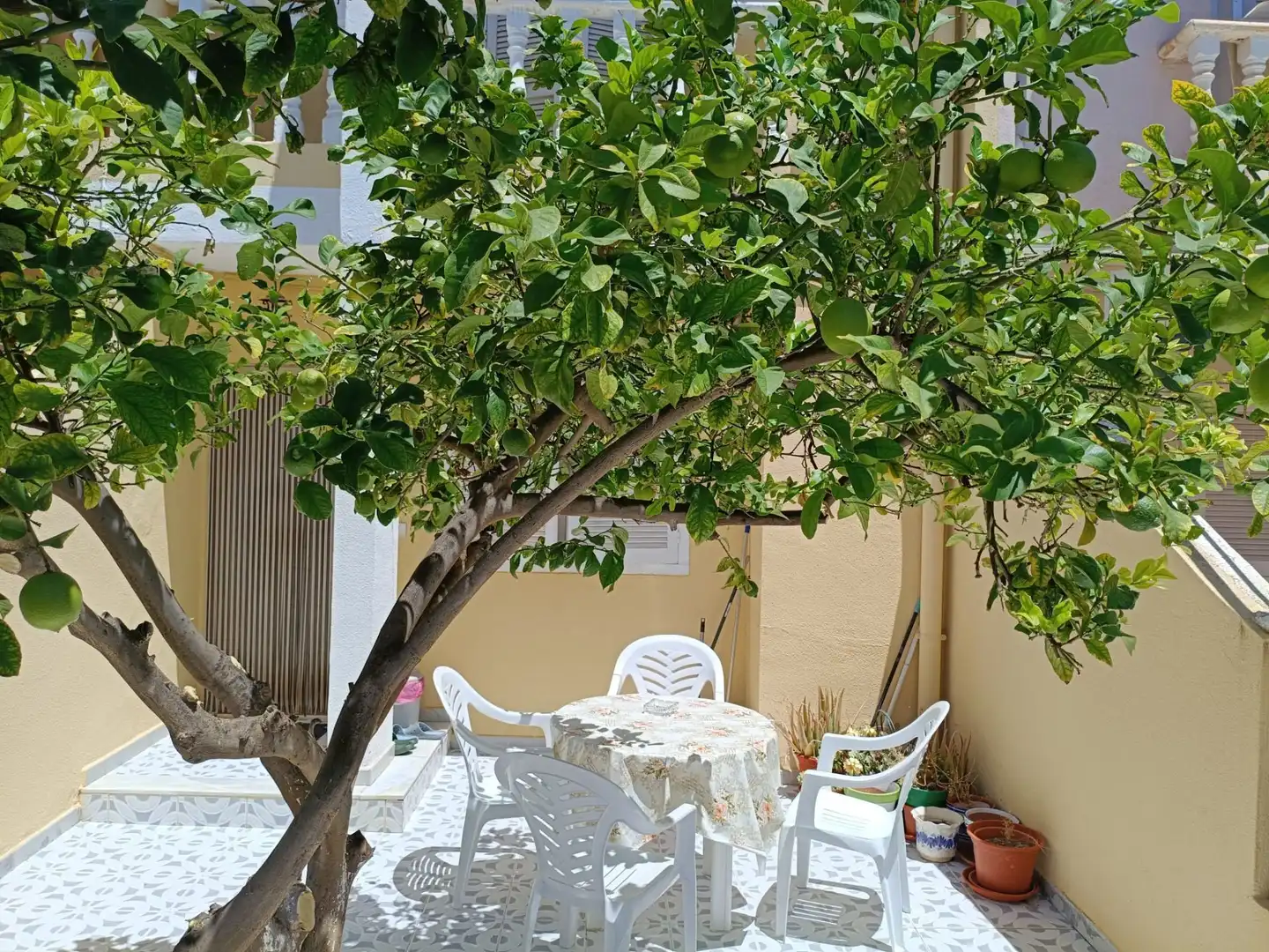 Dúplex con jardín en venta en Lo Pagán, imagen 2
