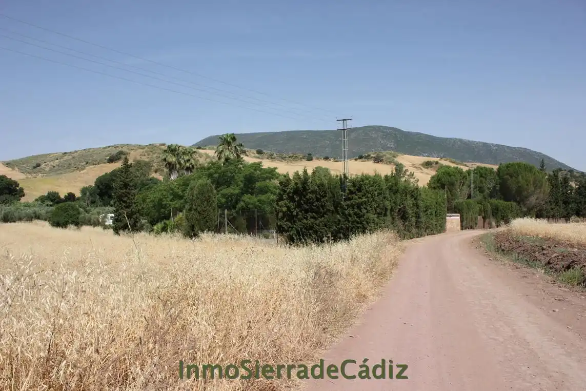 Casa rústica en venda a Algodonales, imagen 5