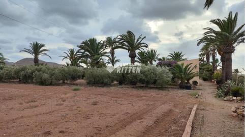 Photo 5 of Land for sale in San Ginés a, San Antón, Murcia