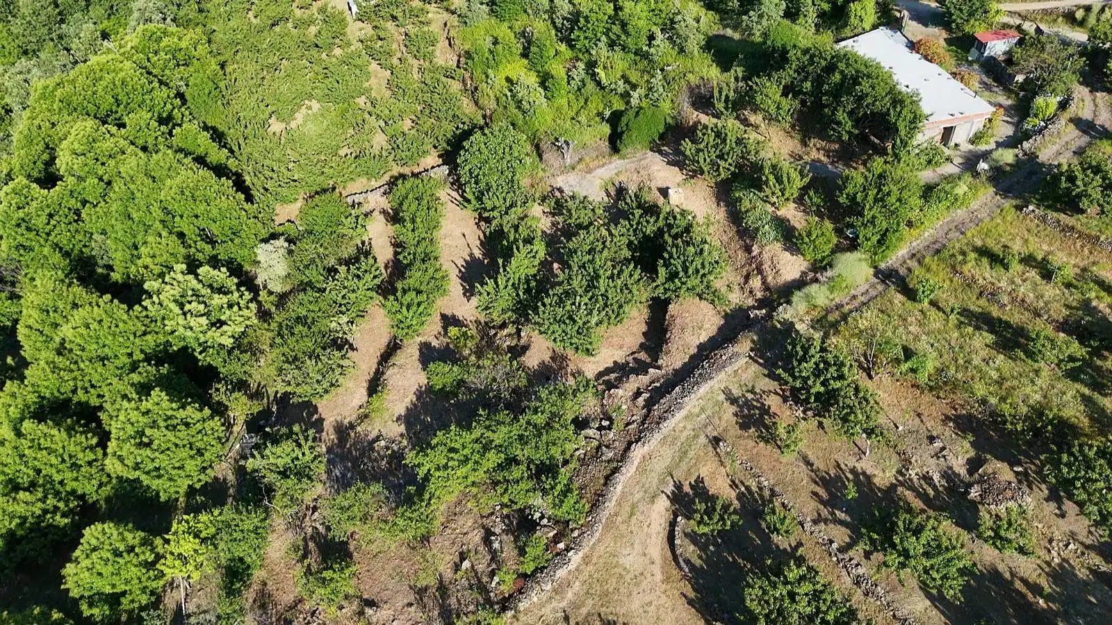 Terreni e lotti in vendita a Casas del Castañar, imagen 3
