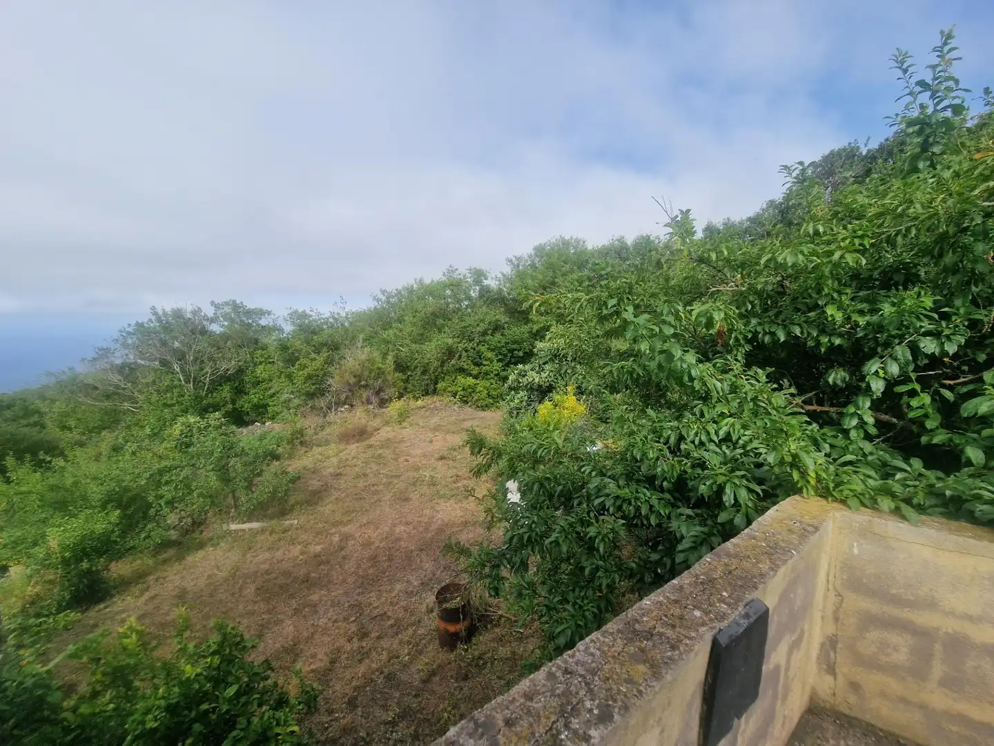 Finca rústica en venta en Icod de los Vinos con Terraza, Trastero y Amueblado