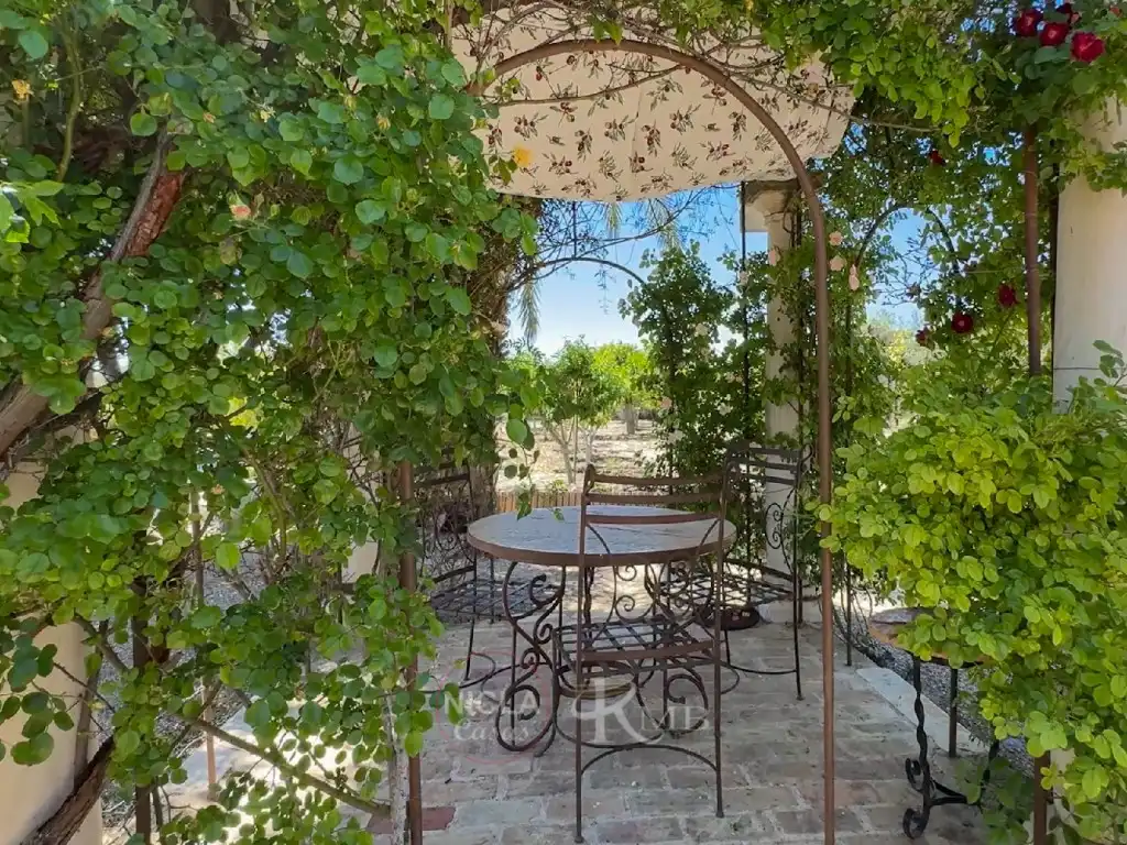 Terrace of Houses for sale in Vélez-Blanco  with Air Conditioner, Terrace and Swimming Pool