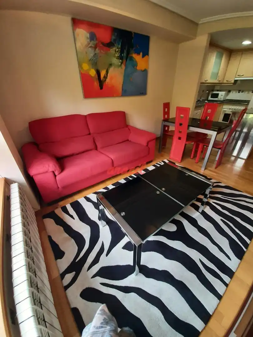 Sala de estar de Estudio de alquiler en Ourense Capital  con Calefacción y Amueblado