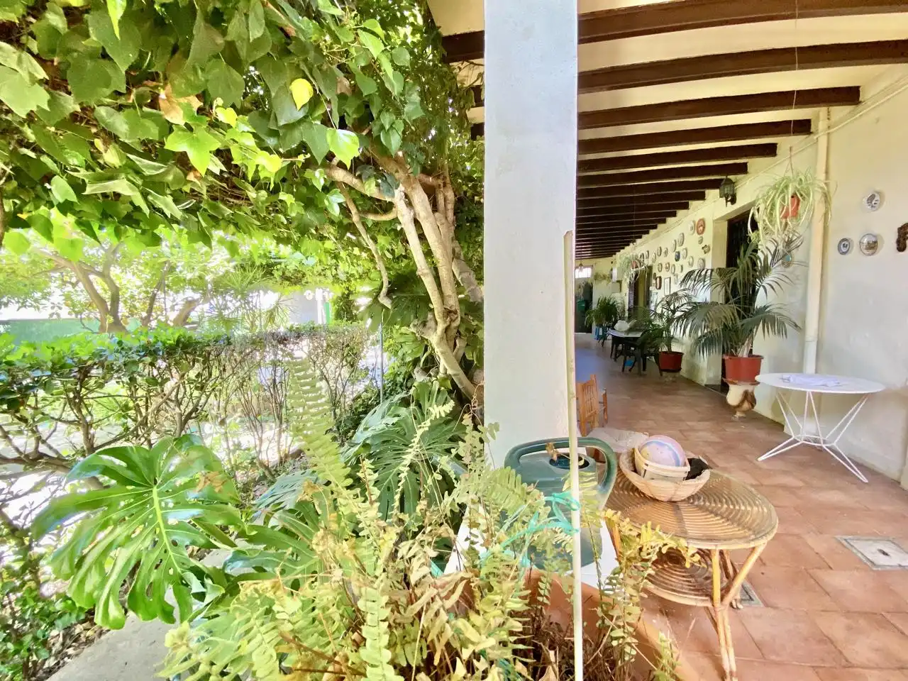 Terrasse von Haus oder Chalet zum Verkauf in  Palma de Mallorca mit Privatgarten, Terrasse und Abstellraum