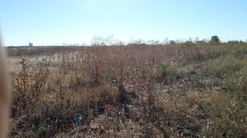 Foto 3 de Residencial en venta en Pozos Viejos, El Pijorro, Madrid