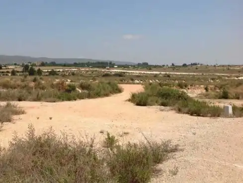 Terrain rustique à vendre à PT Parque Estratégico La Mar de Dins, imagen 7
