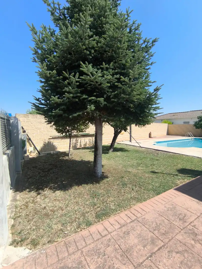Villa avec piscine à vendre à Carranque, imagen 8