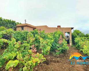 Garden of Country house for sale in El Sauzal  with Private garden