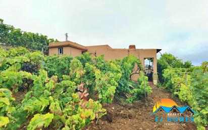 Jardí de Finca rústica en venda en El Sauzal amb Jardí privat