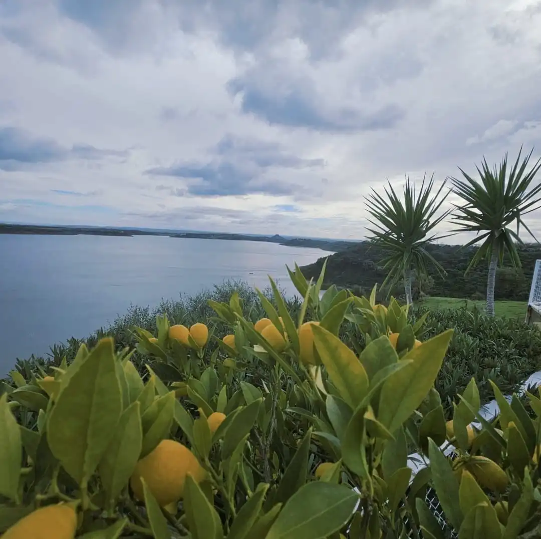 Jardín de Casa o chalet en venta en Almodóvar del Río con Aire acondicionado, Calefacción y Jardín privado