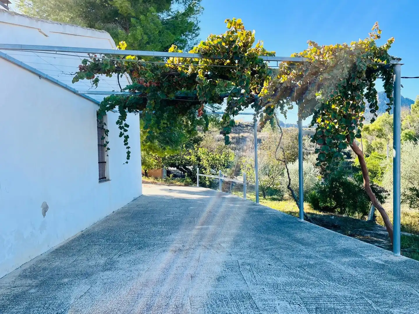 Vista exterior de Casa o chalet en venta en Cieza con Calefacción, Jardín privado y Trastero