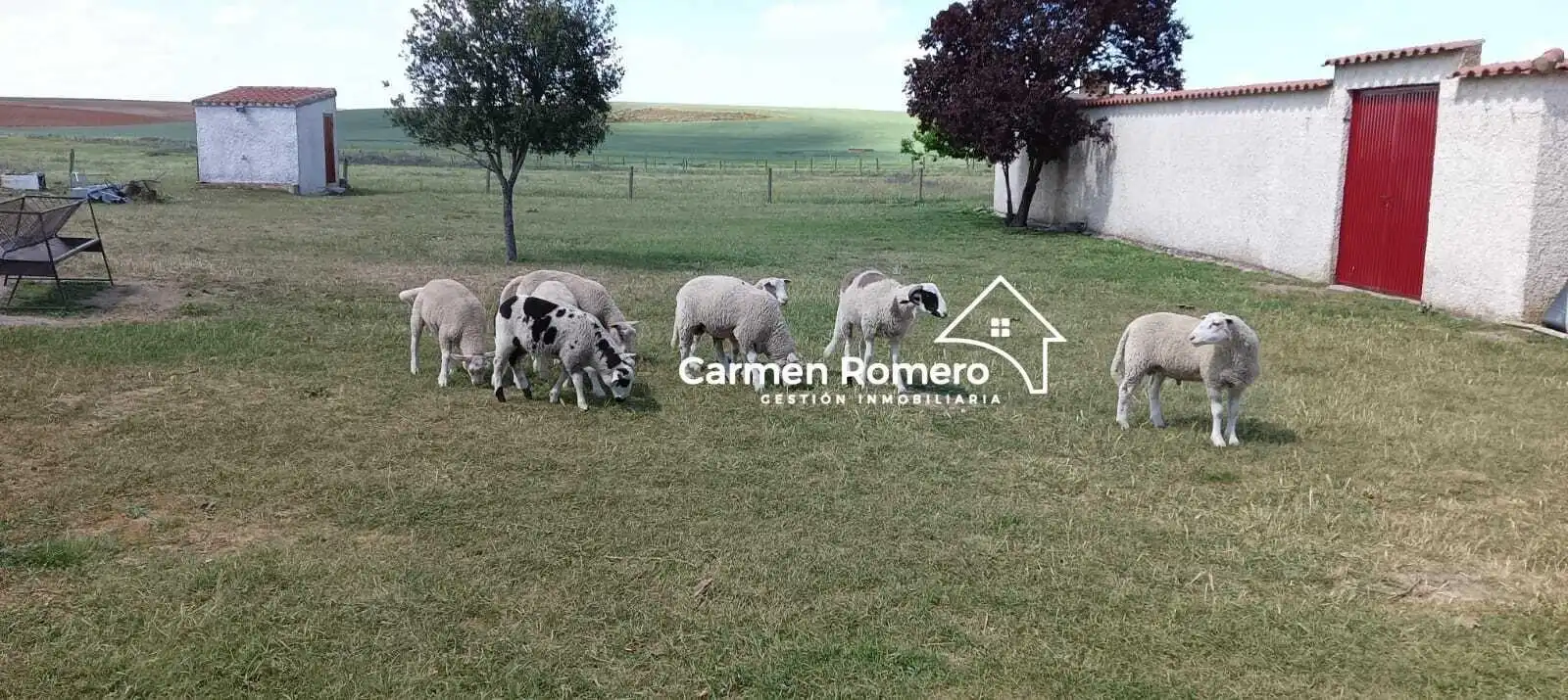 Garden of Residential for sale in Valdunciel